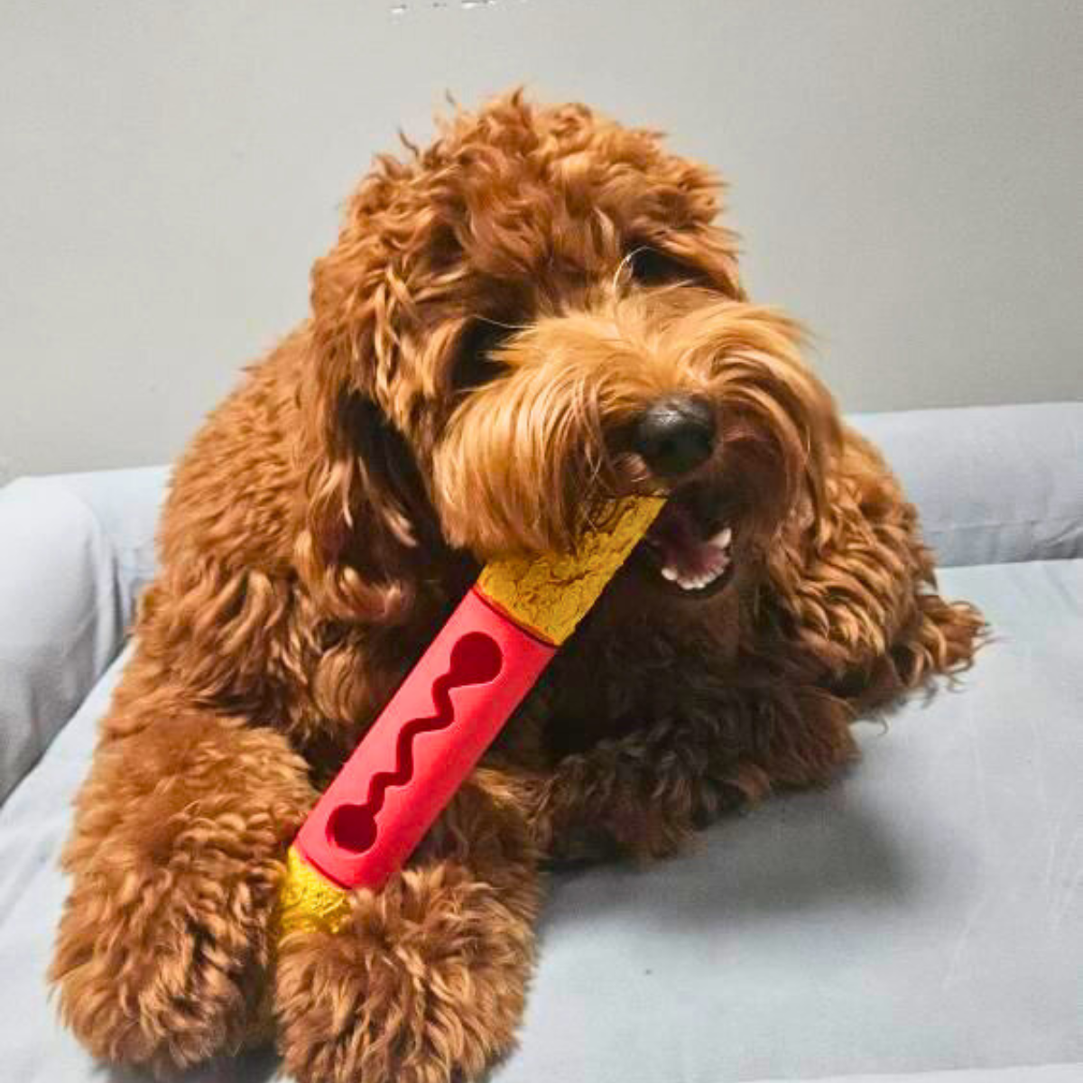 Waarom Hondenspeelgoed Essentieel Is Voor Honden Die Alleen Thuis Zijn