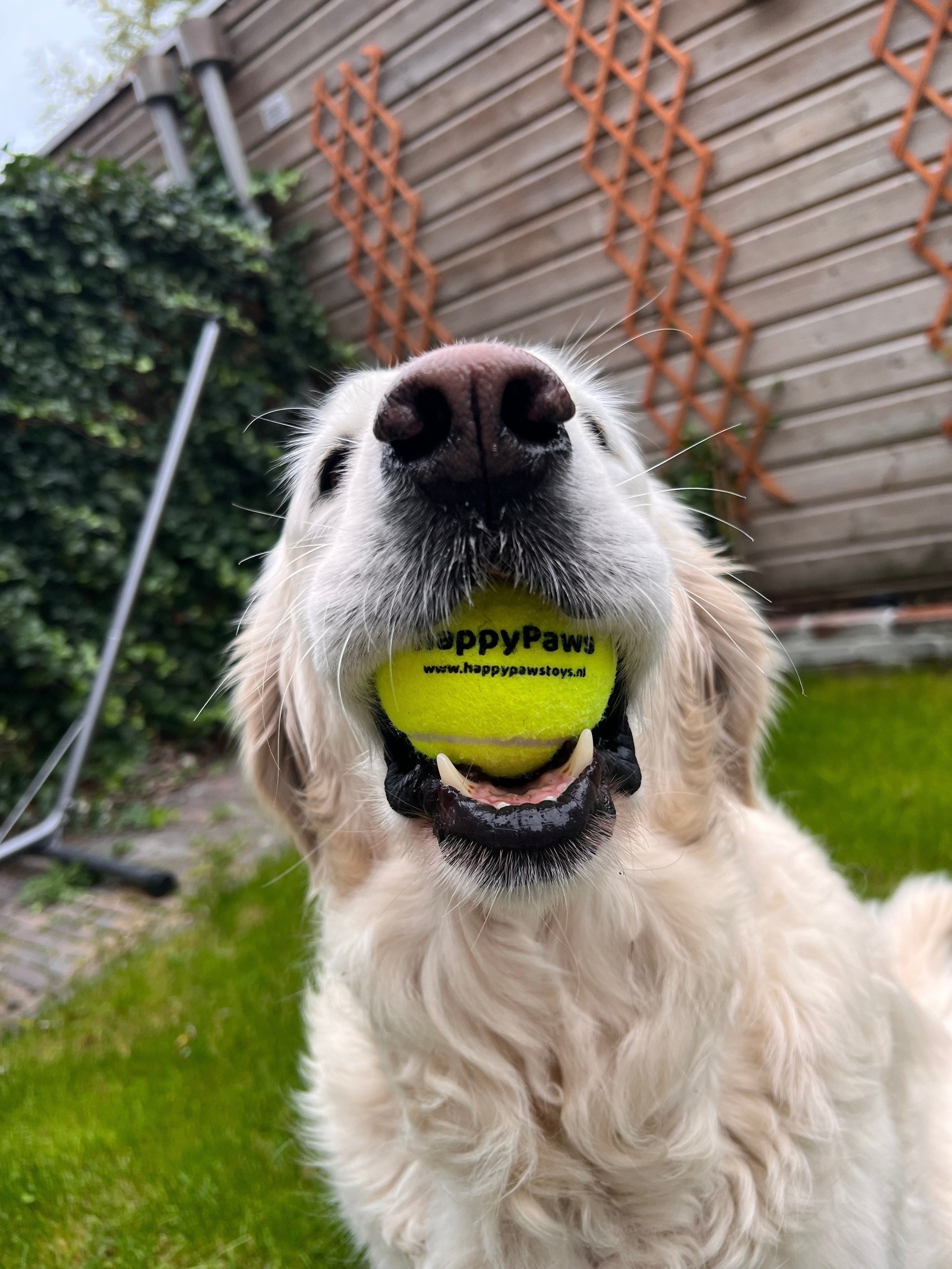 Tennisbal Voor Honden | Veilig & Sterk Speelplezier – HappyPaws