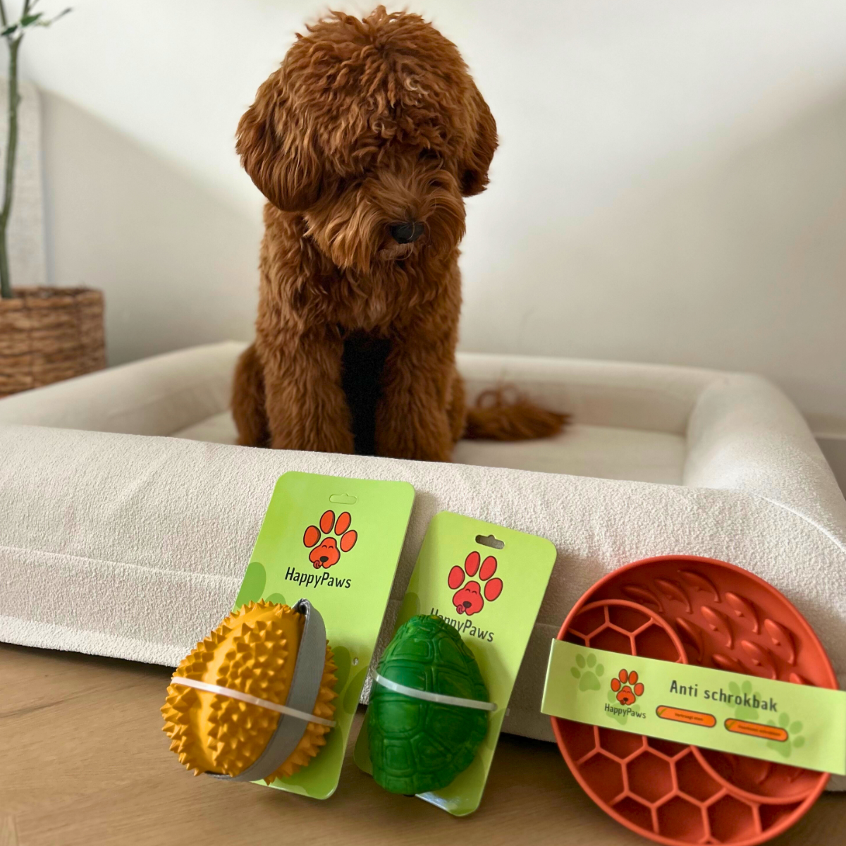 Vuurwerkangst Bij Honden | Zo Houd Je Je Hond Rustig – HappyPaws