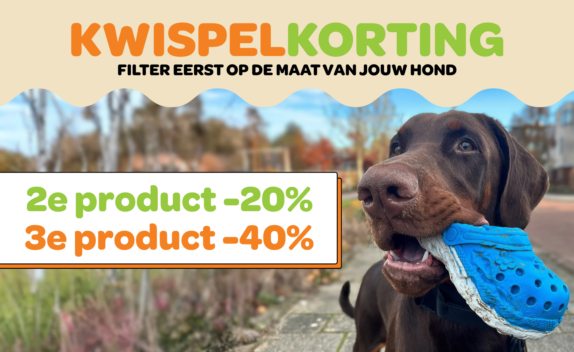 Kwispelkorting