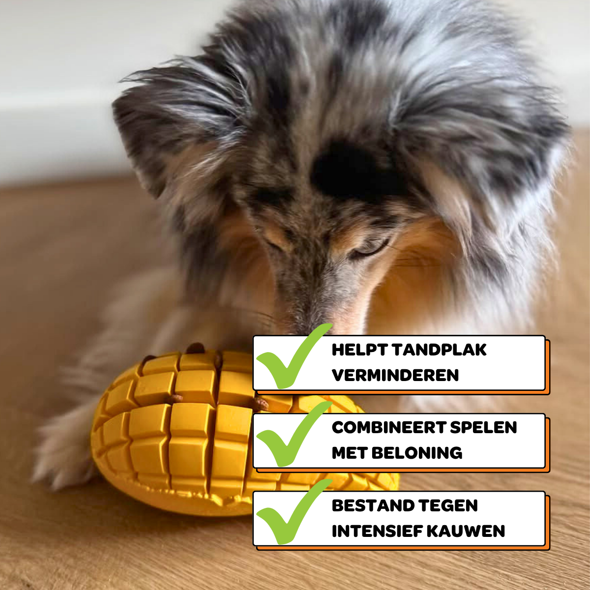 Max de Mango
