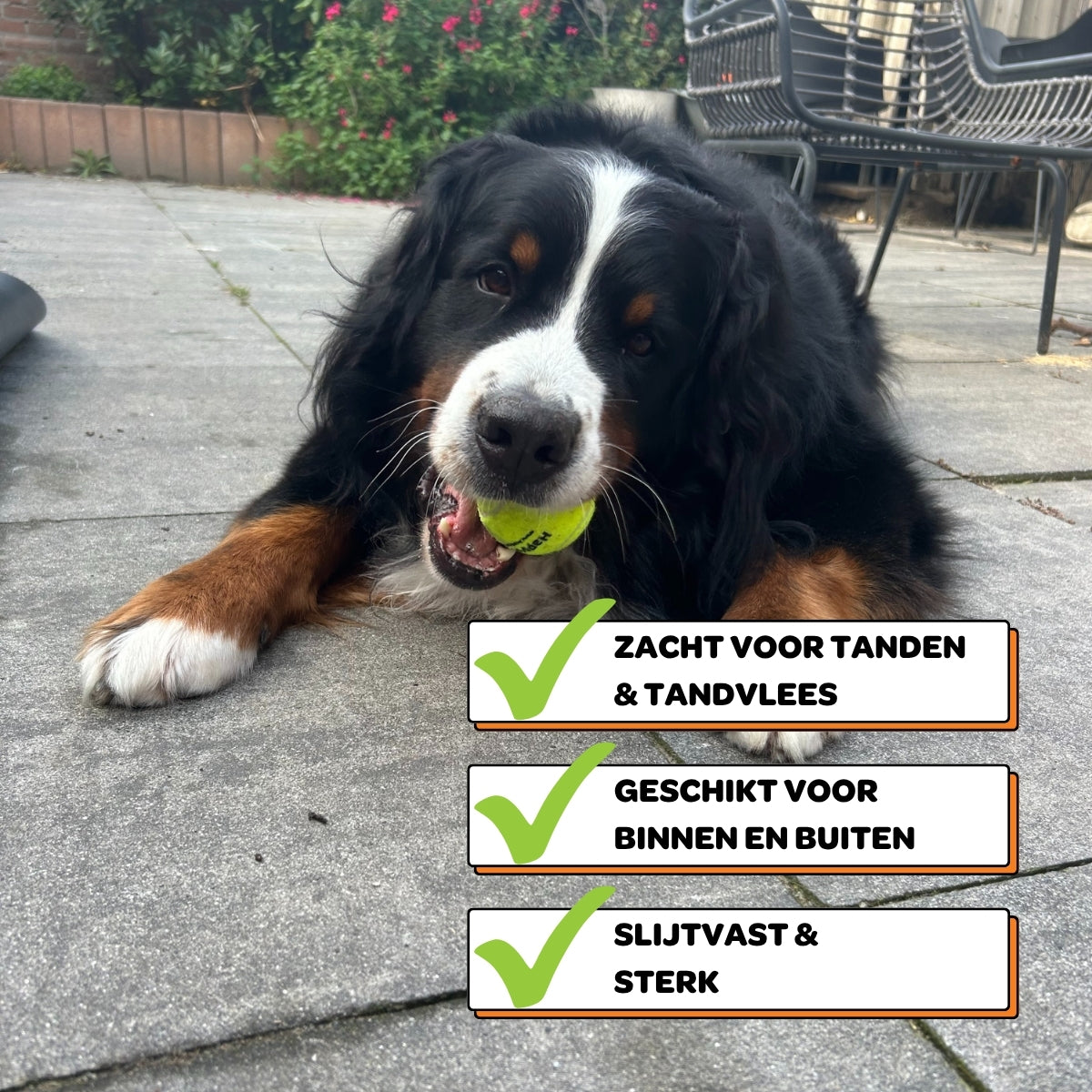 Honden Tennisballen