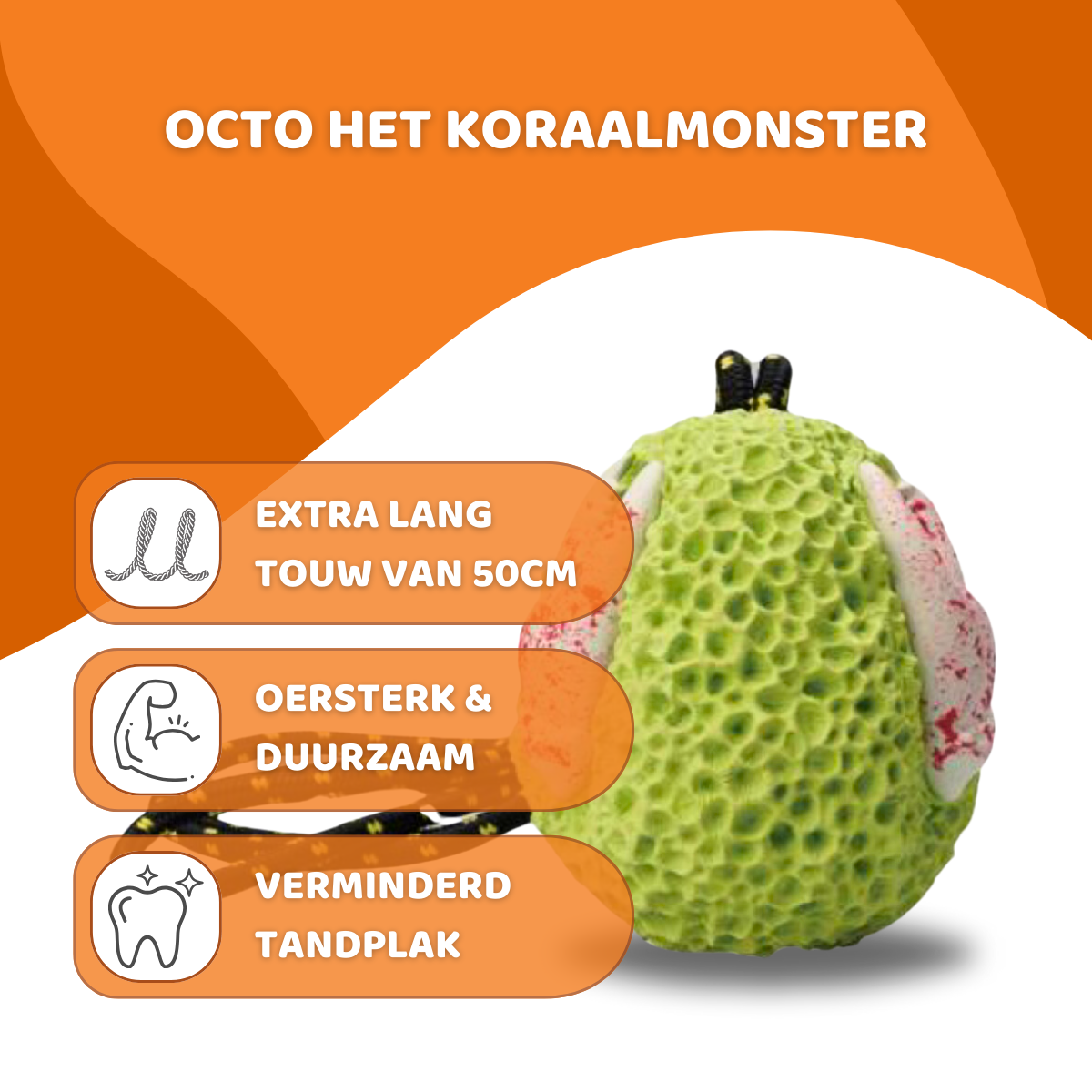 Octo het Koraalmonster