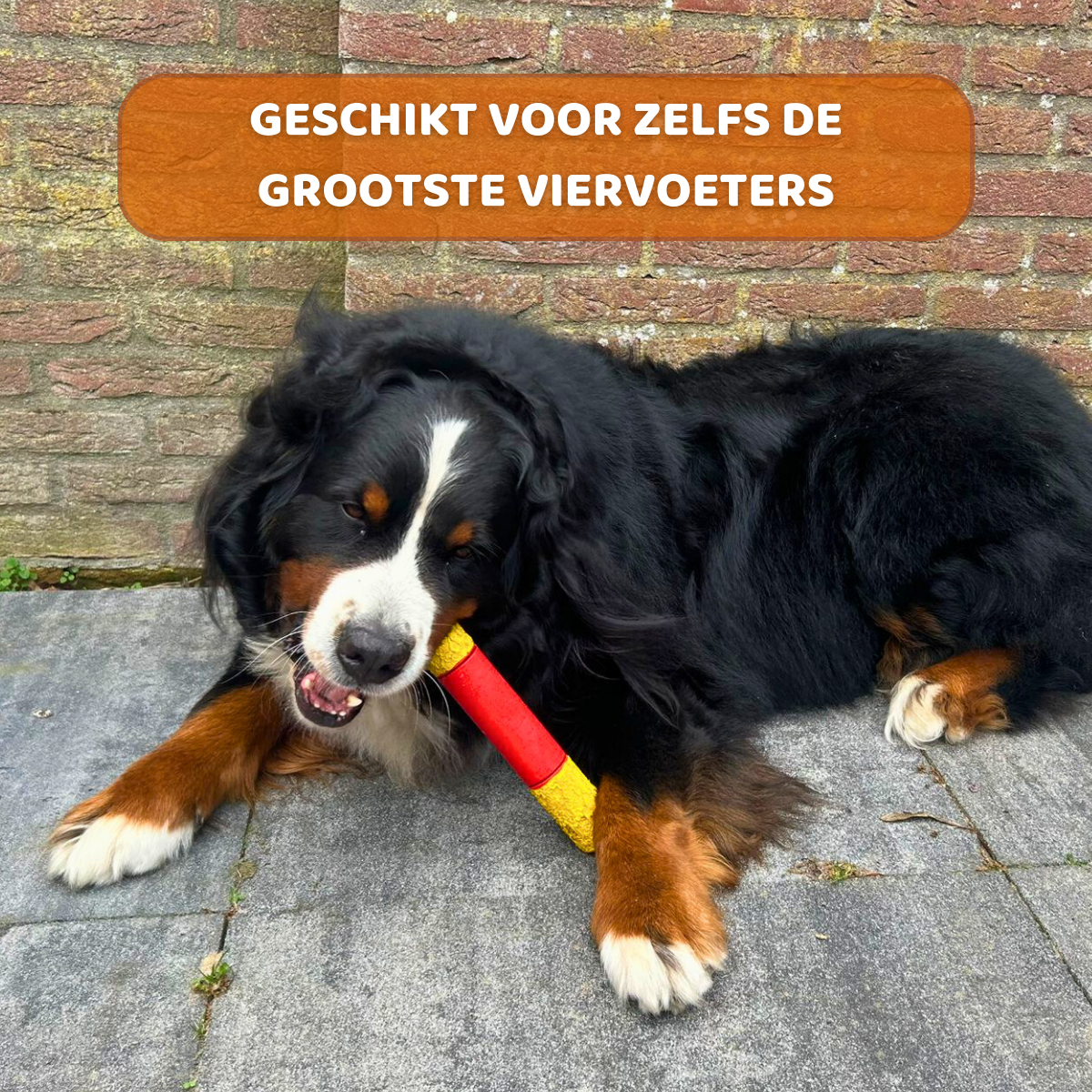 Stokkie de Stuntman