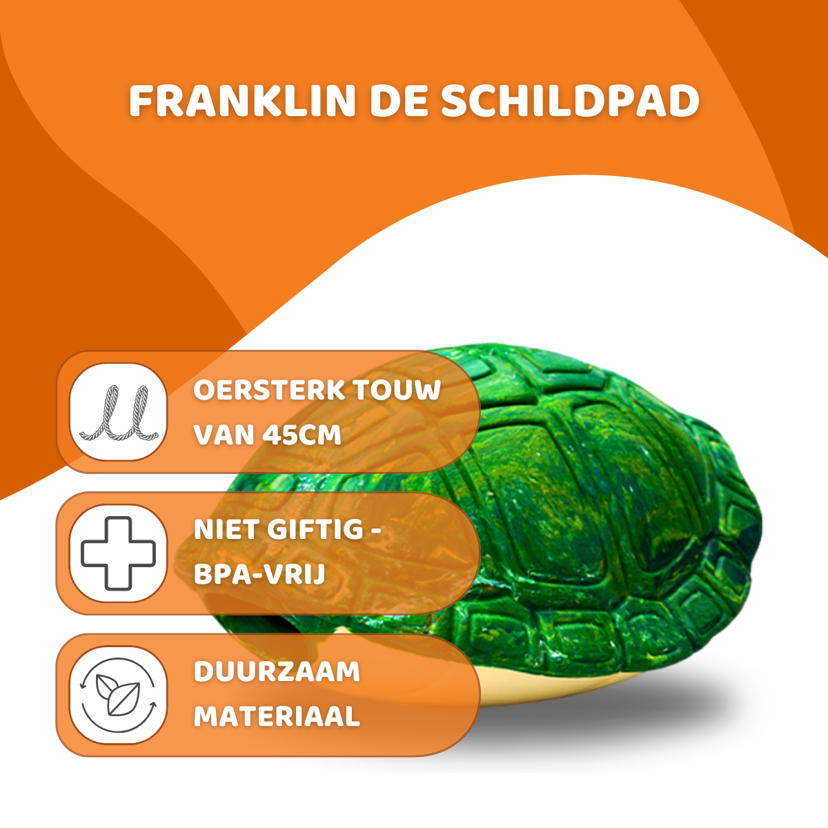 Franklin de Schildpad