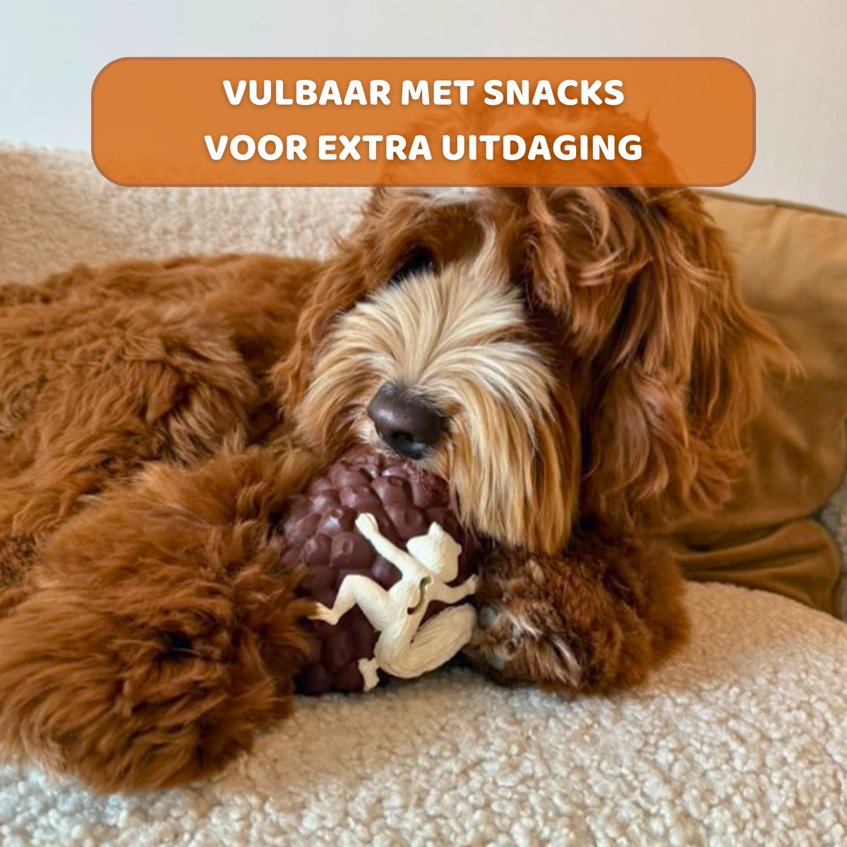 Maikel de Eikel