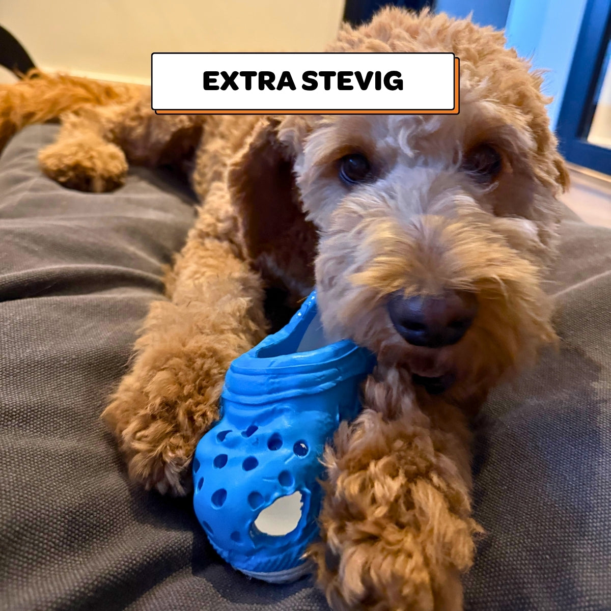 Sammy de Slipper - Maat M/L