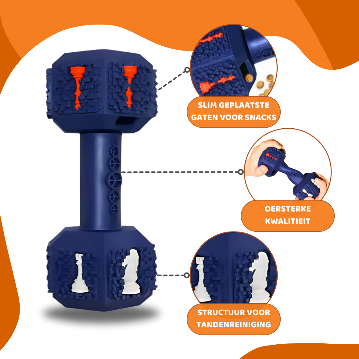 Arnold de Dumbbell