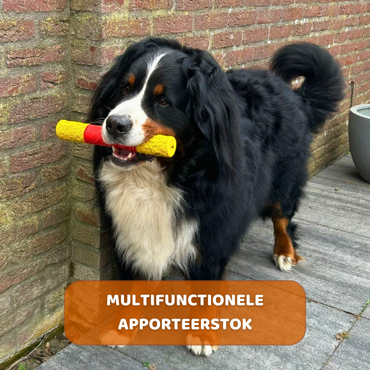 Stokkie de Stuntman