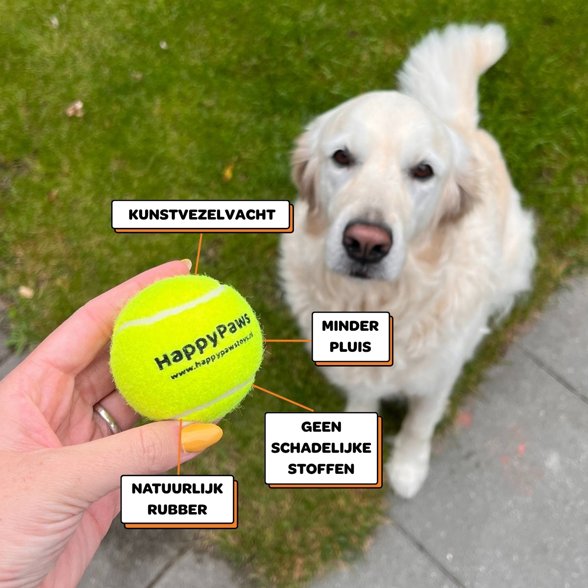 Honden Tennisballen