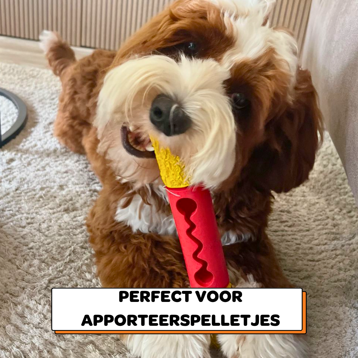 Stokkie de Stuntman