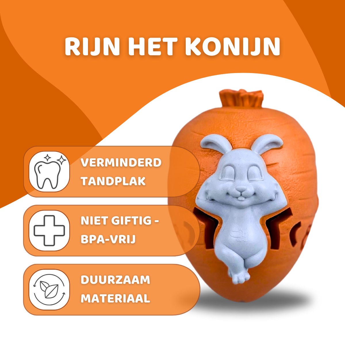 Rijn het Konijn