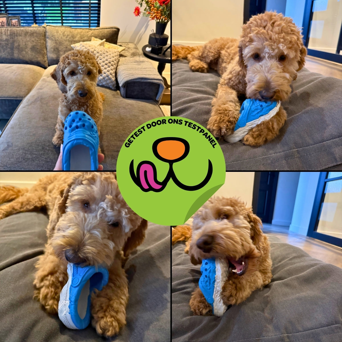 Sammy de Slipper - Maat M/L