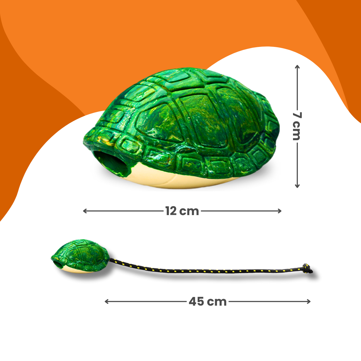 Franklin de Schildpad
