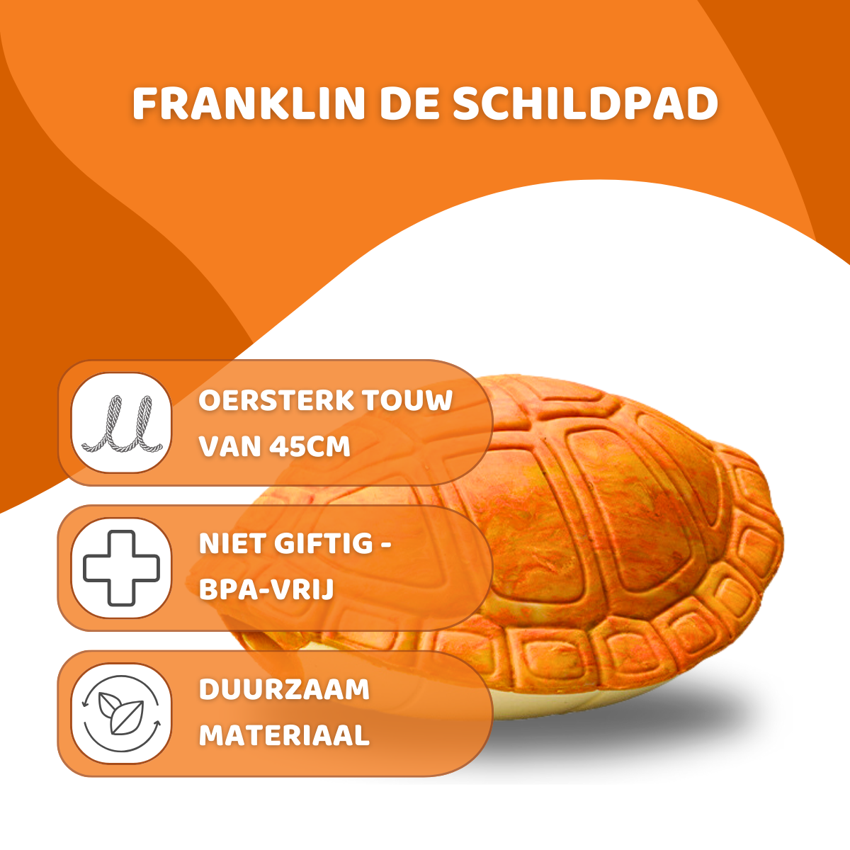 Michelangelo de Schildpad