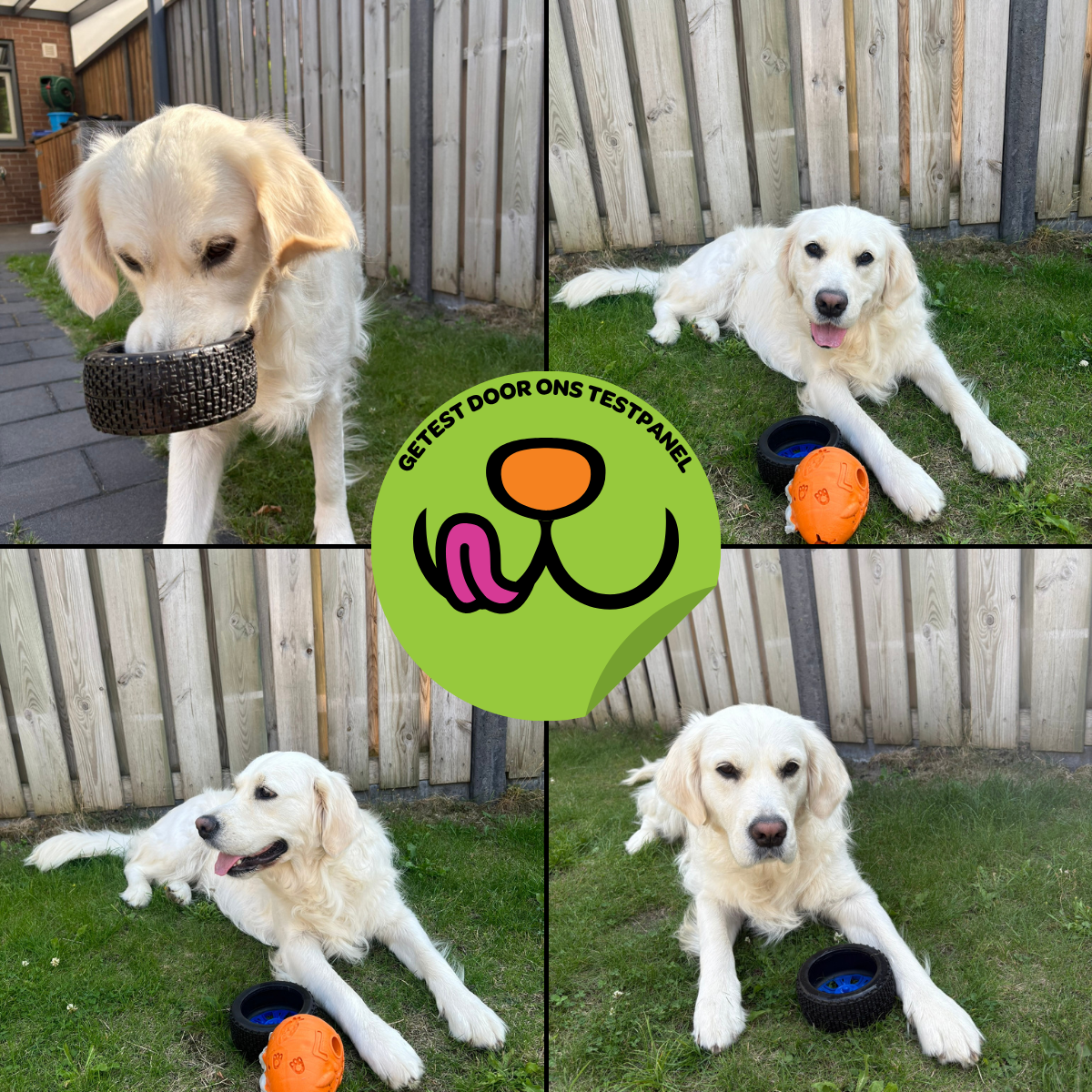 Walter het Wiel