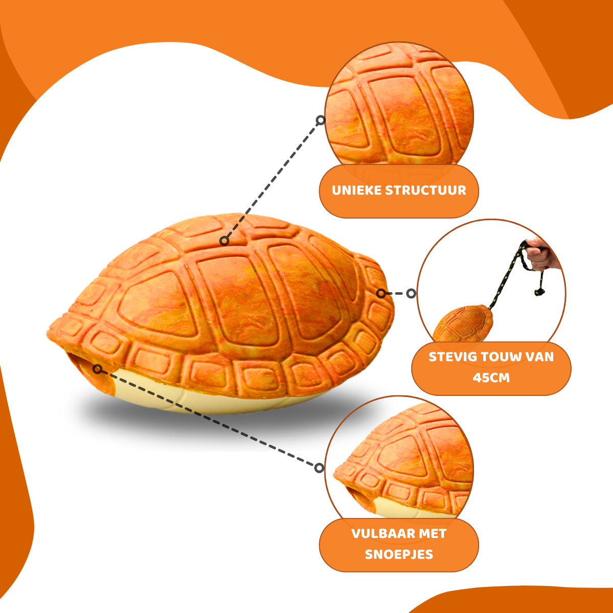 Michelangelo de Schildpad