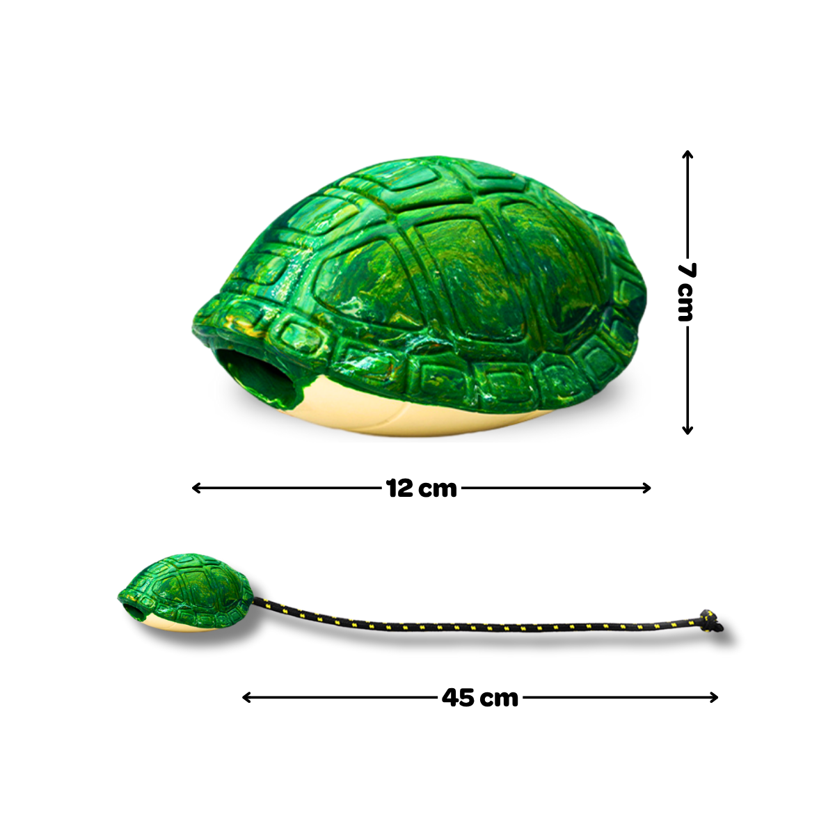 Franklin de Schildpad