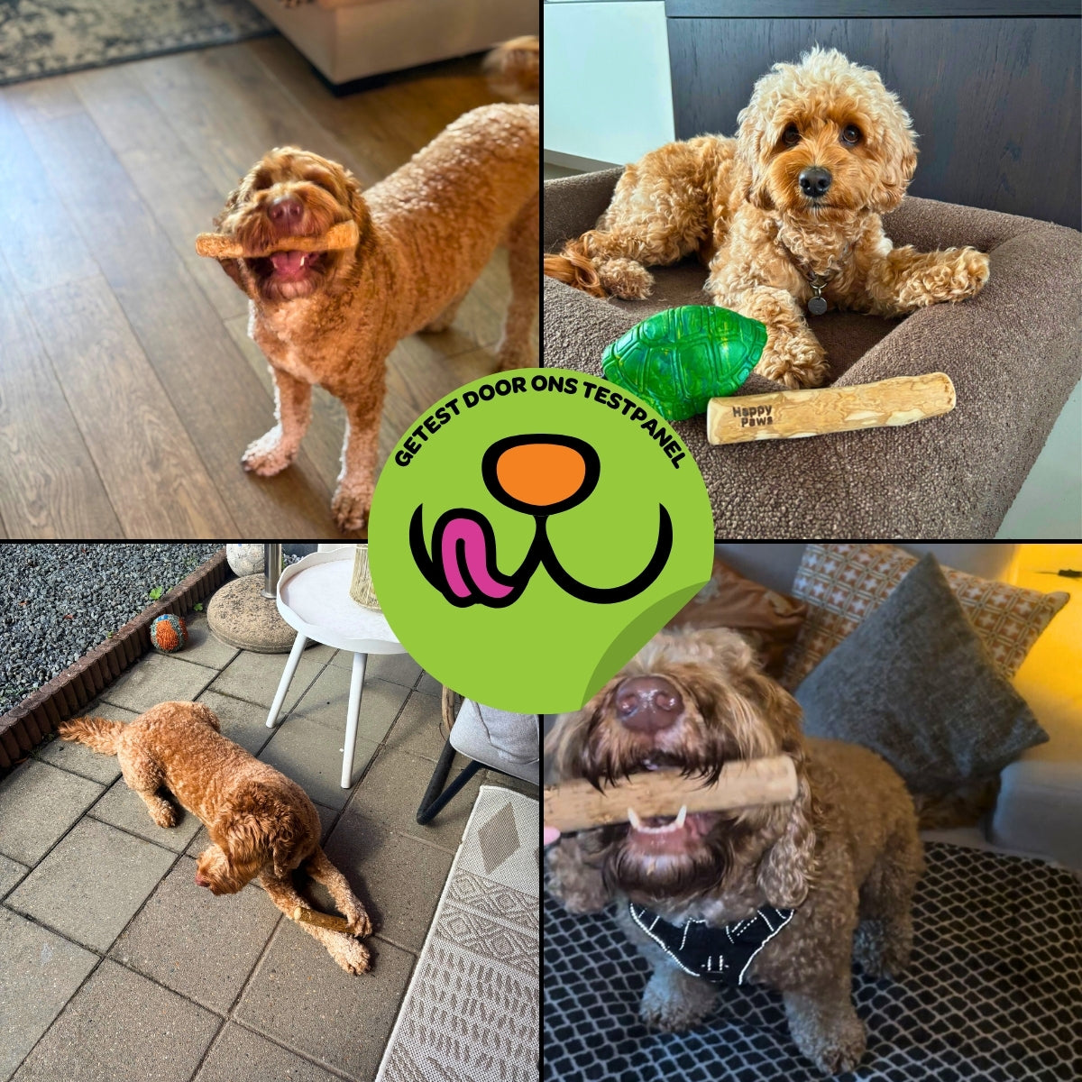 Koffiehouten Kauwstok - Maat S