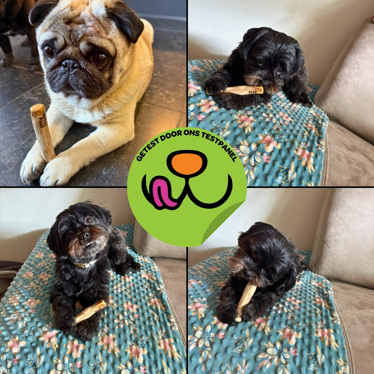 Koffiehouten Kauwstok - Maat XS