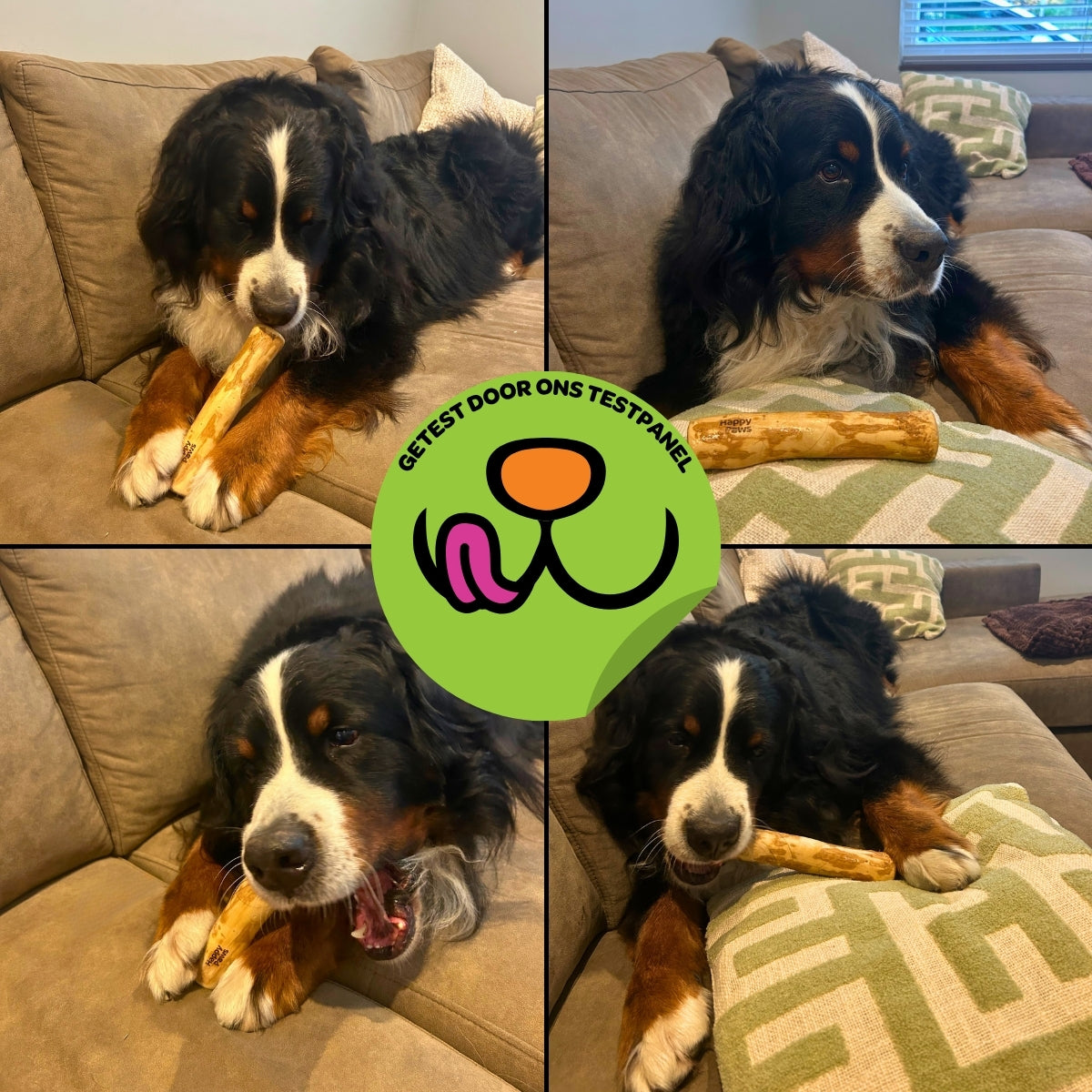 Koffiehouten Kauwstok - Maat L