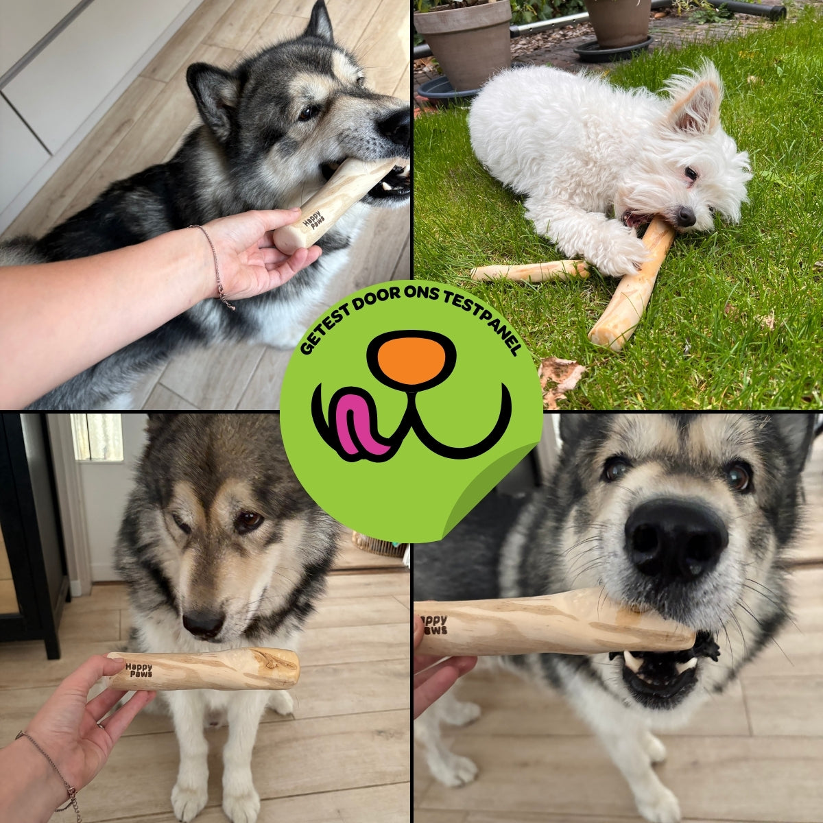 Koffiehouten Kauwstok - Maat M