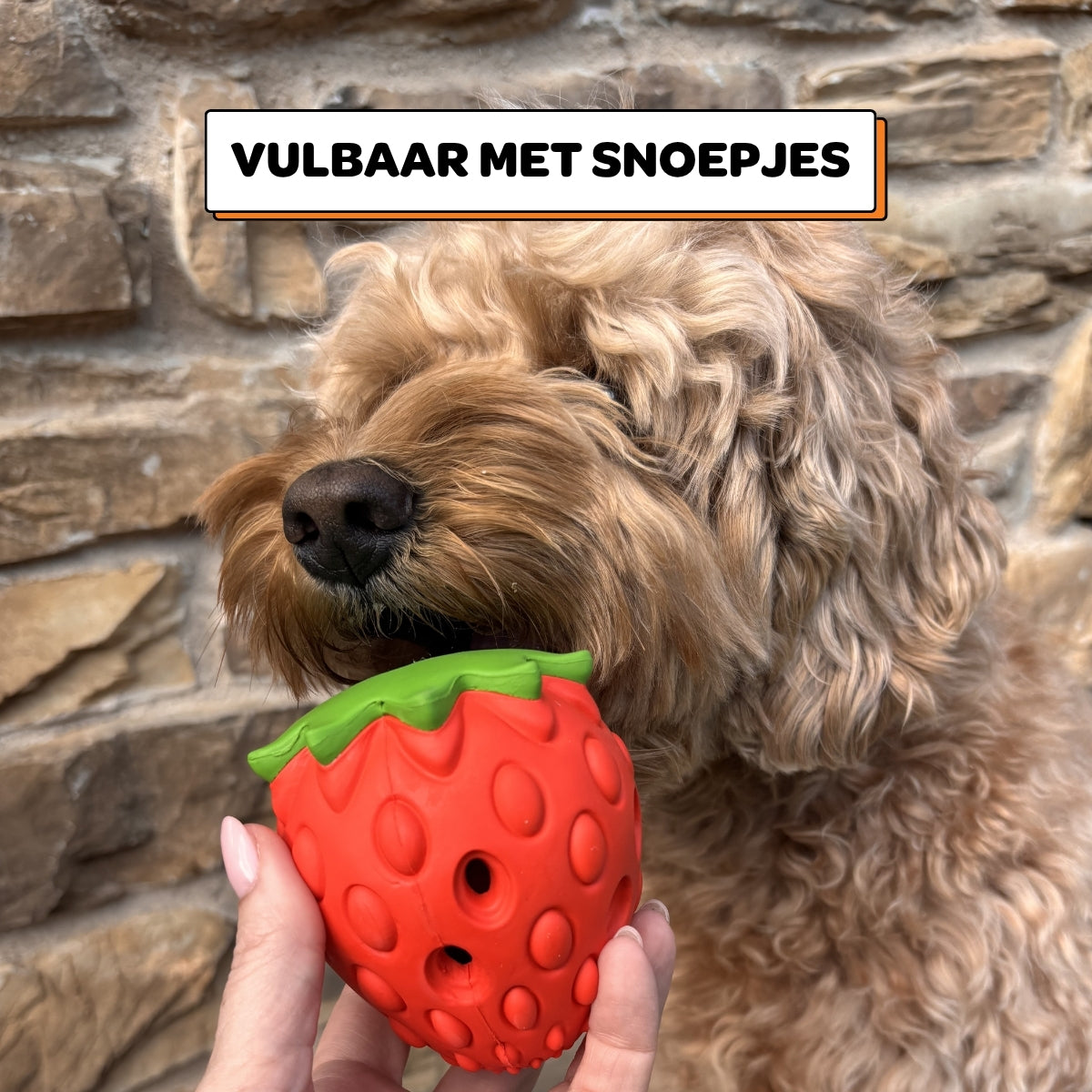 Aad de Aardbei - Maat M
