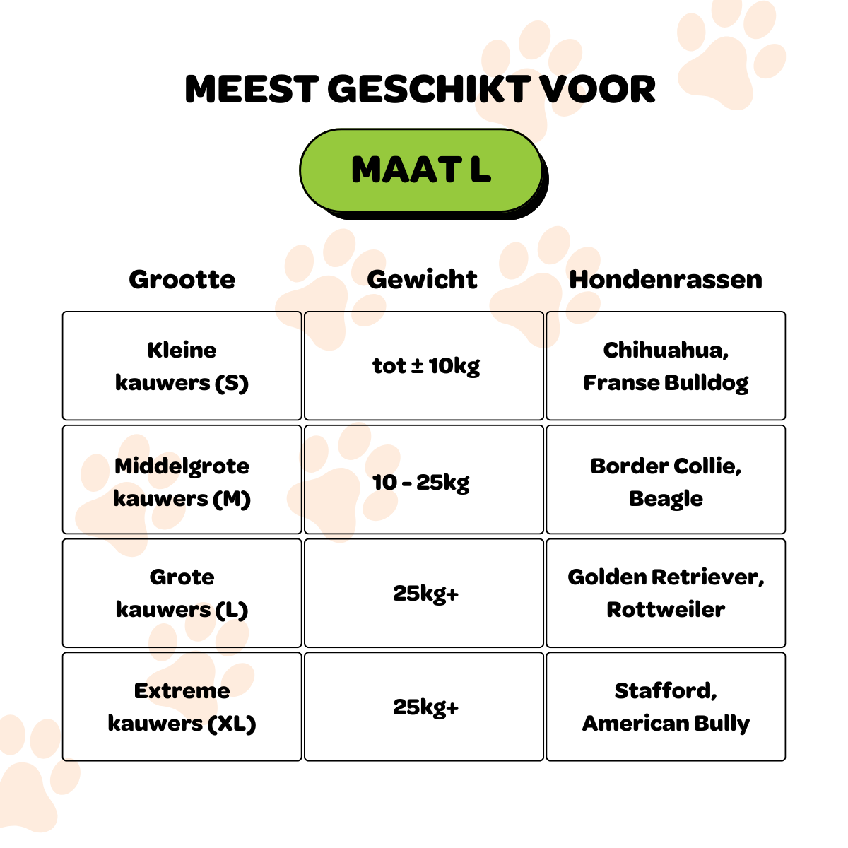 Rijn het Konijn