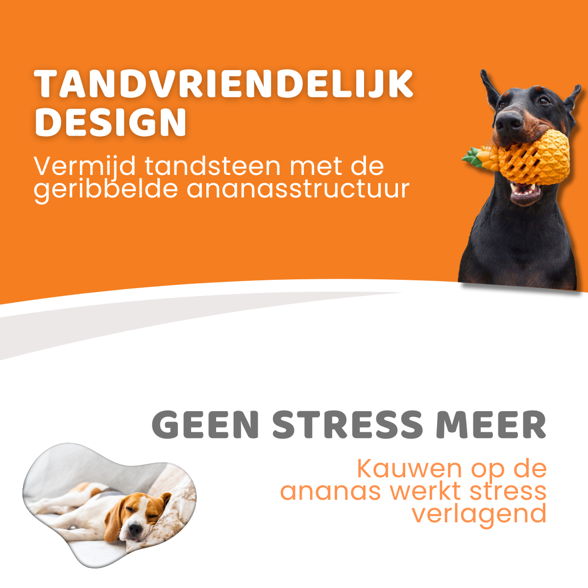 Hondenspeelgoed Anna de Ananas, Oersterk Hondenspeelgoed, Tandvriendelijk Design, Geen Stress Meer, Hondespeelgoed In De Vorm Van Een Ananas, Geschikt voor Grote Honden, Natuurlijk Rubber