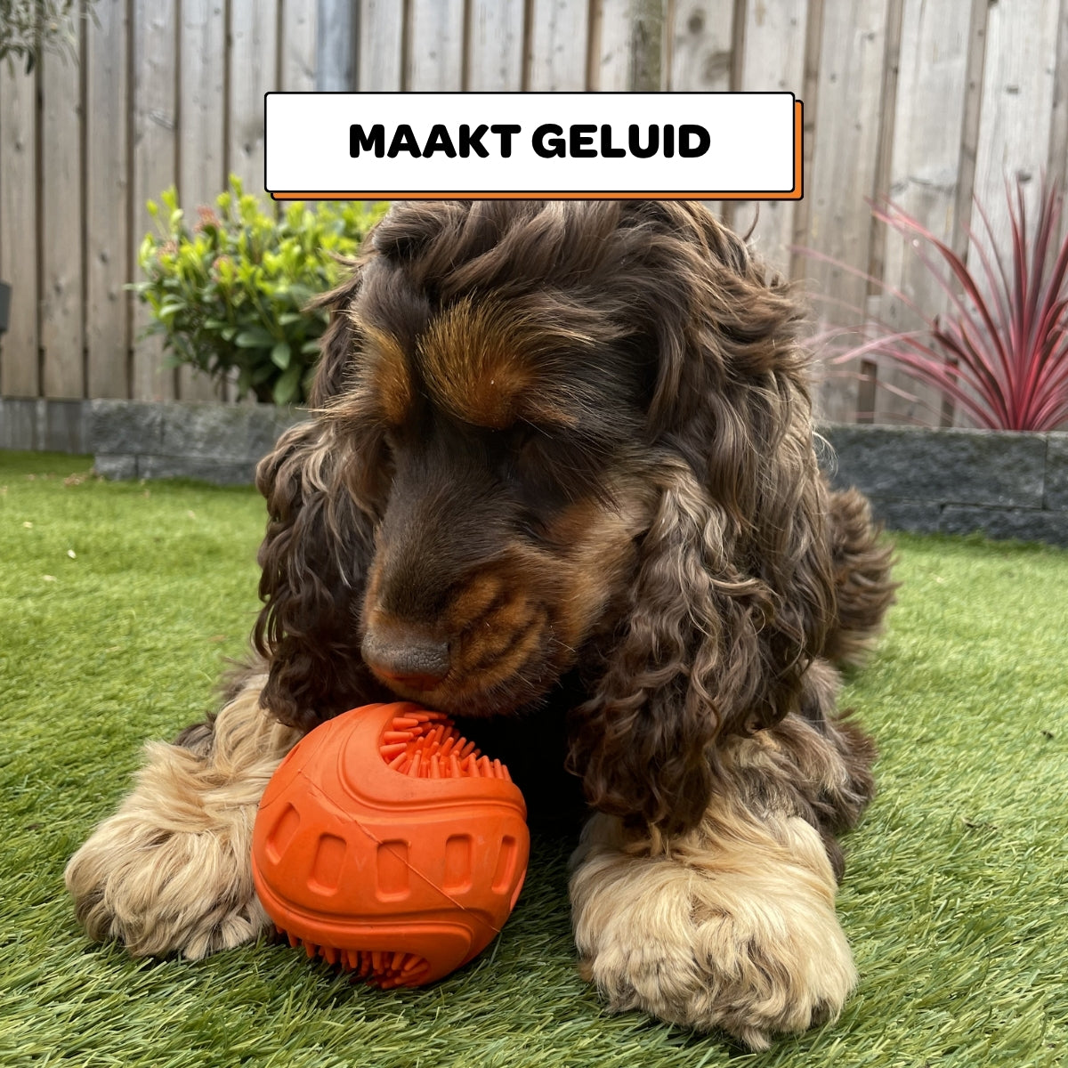 Benny de Bal - Maat M/L