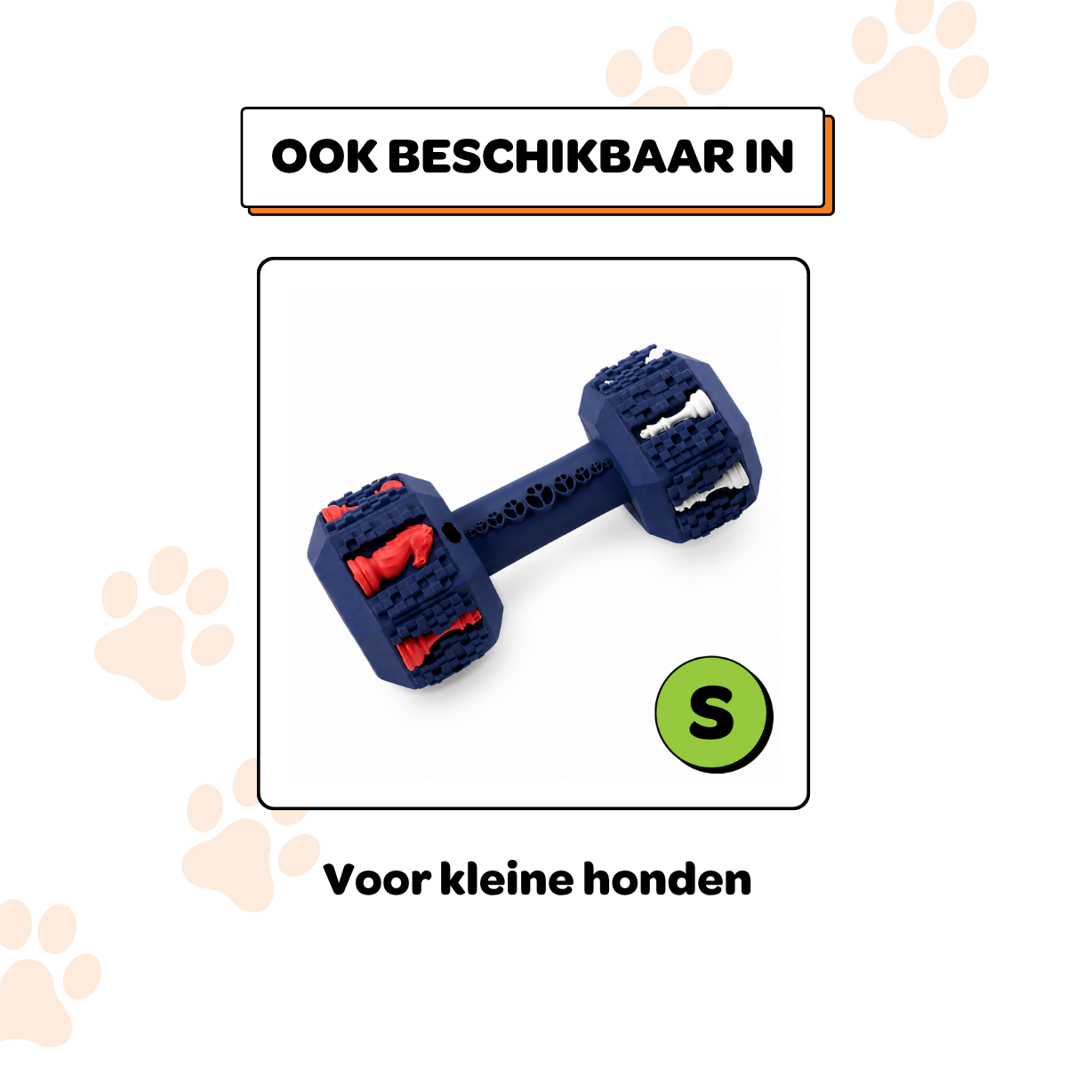 Arnold de Dumbbell - Maat L