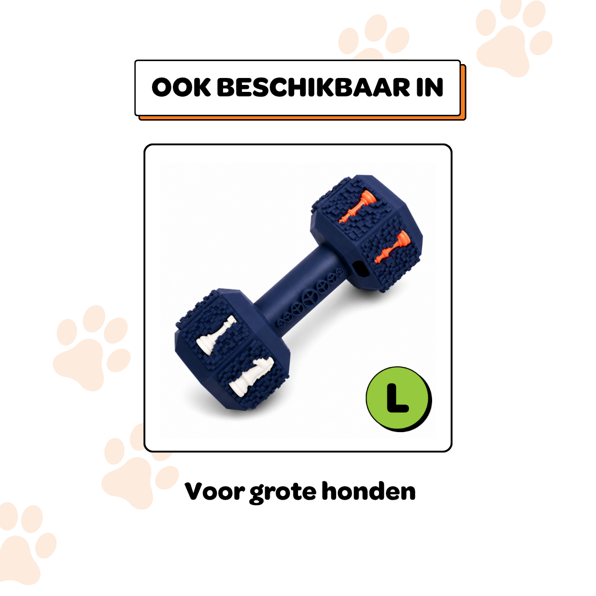 Arnold de Dumbbell - Maat S