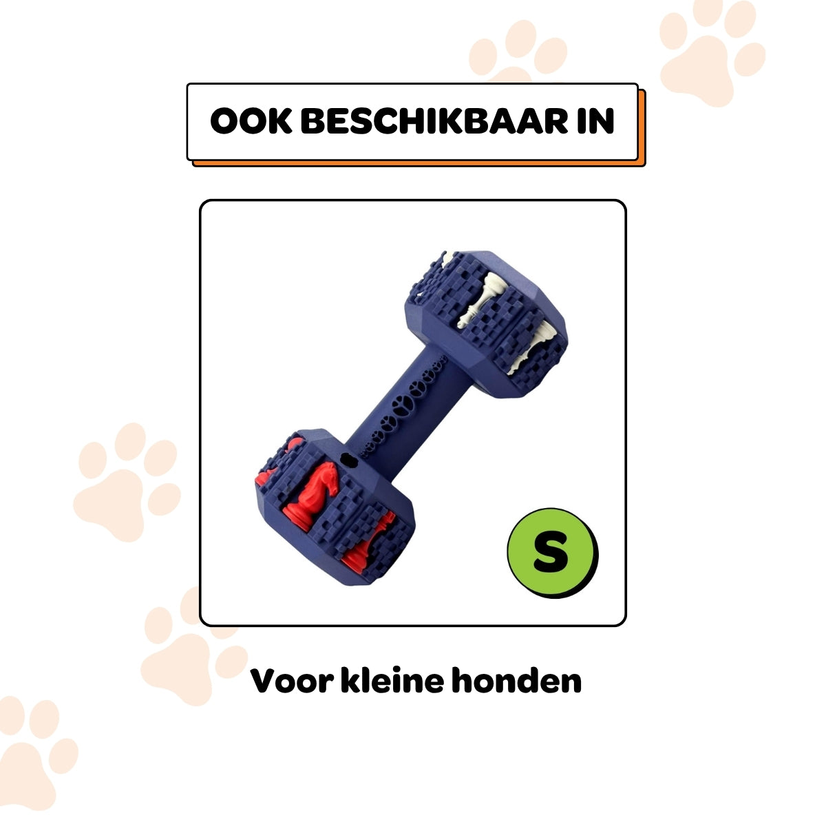 Arnold de Dumbbell - Maat L
