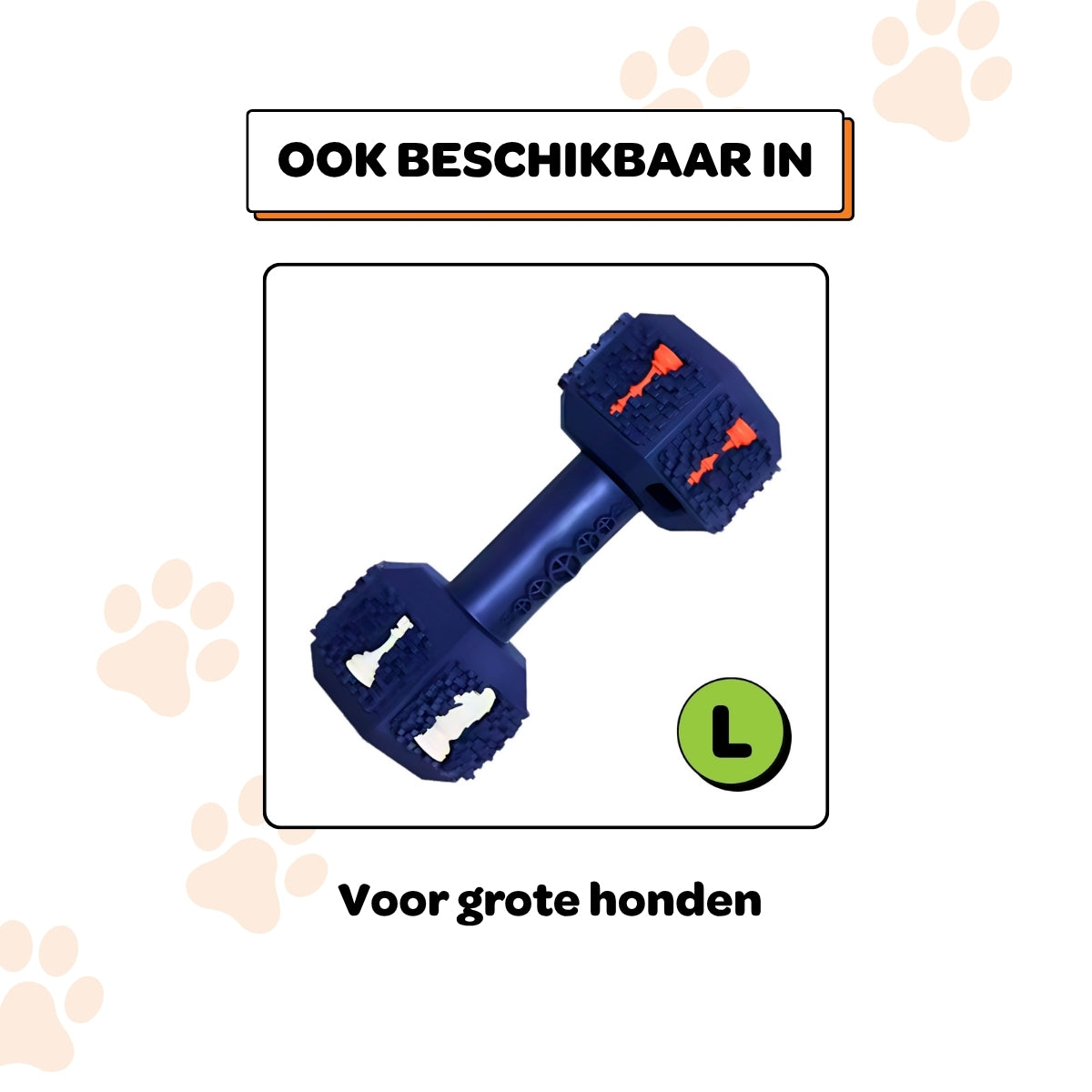 Arnold de Dumbbell - Maat S
