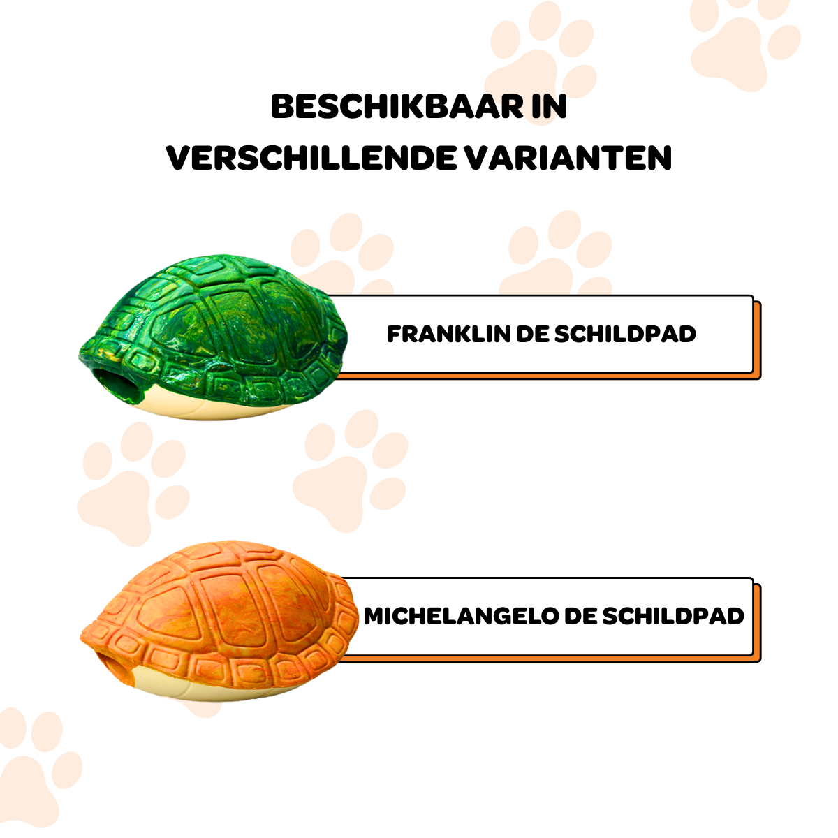 Michelangelo de Schildpad