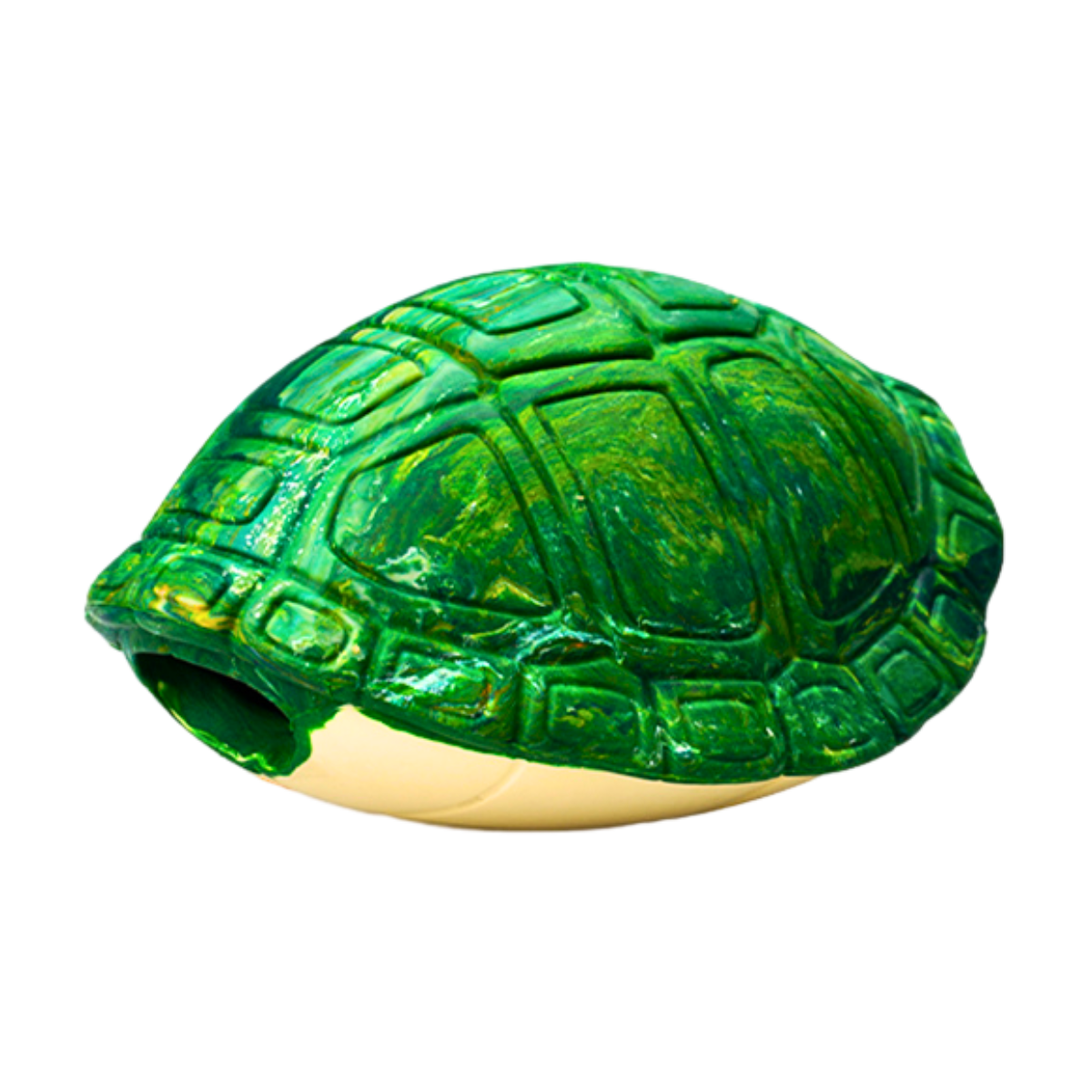 Franklin de Schildpad