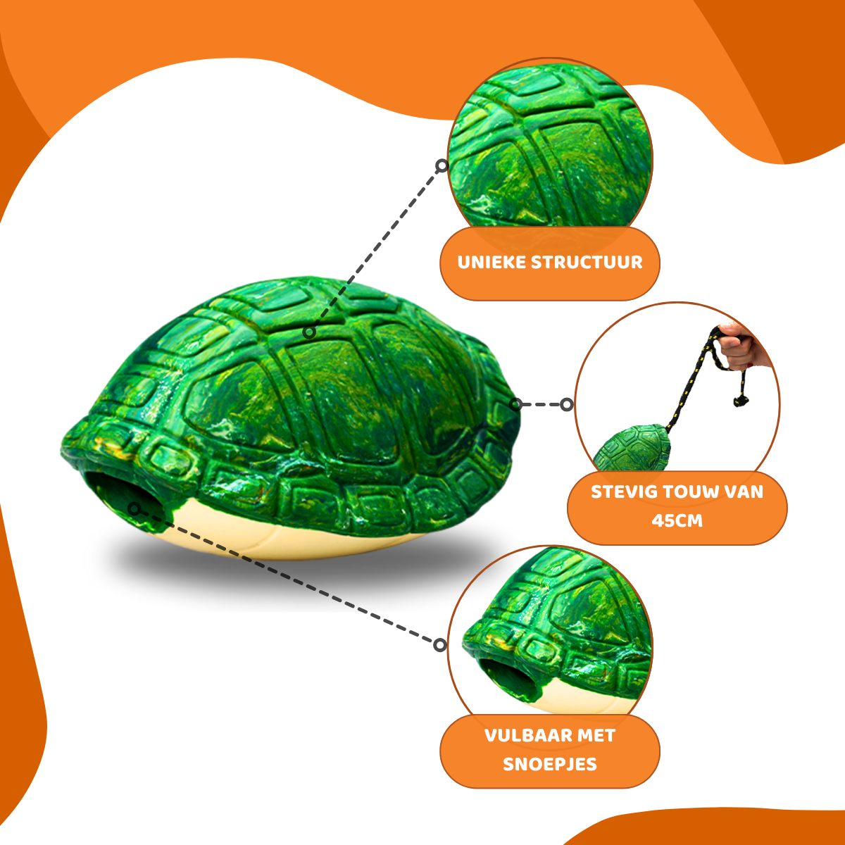 Franklin de Schildpad