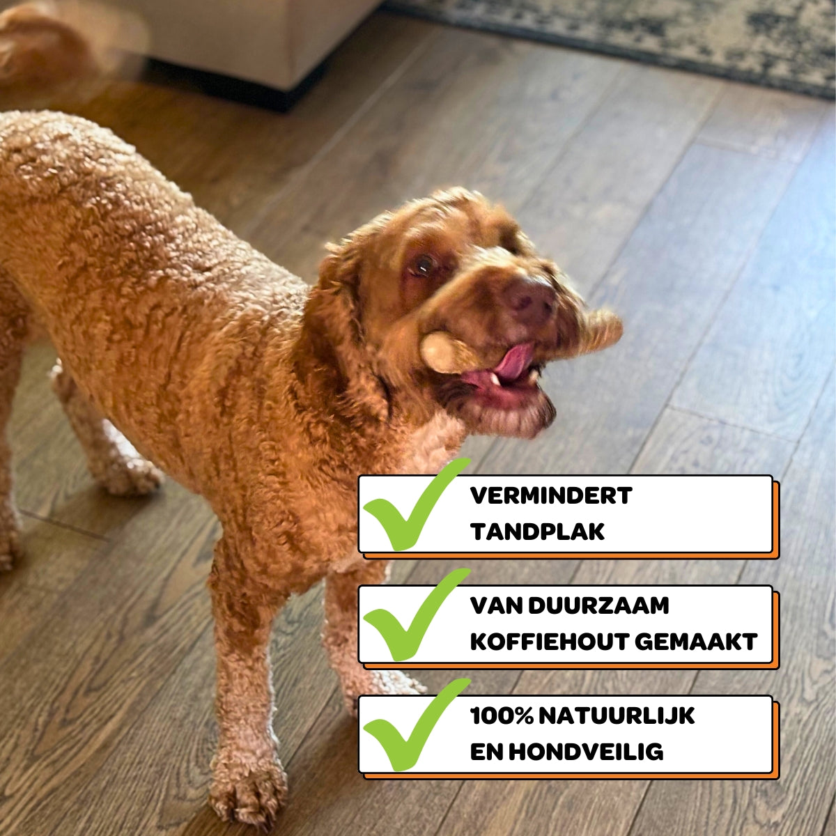 Koffiehouten Kauwstok - Maat S