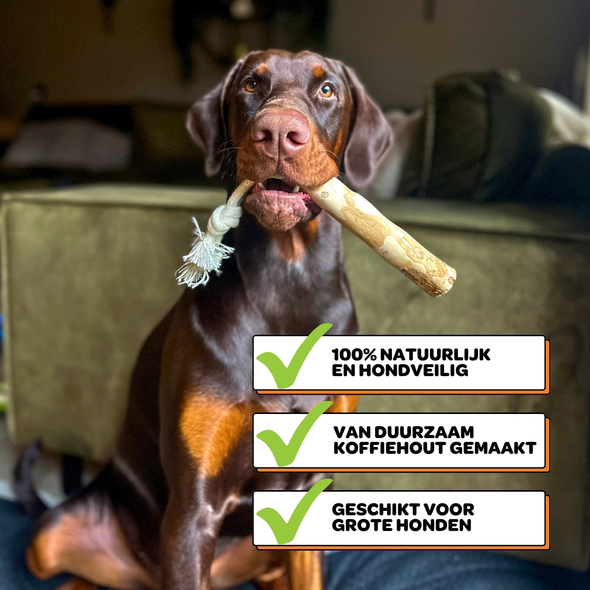 Koffiehouten Kauwstok met Touw - Maat L