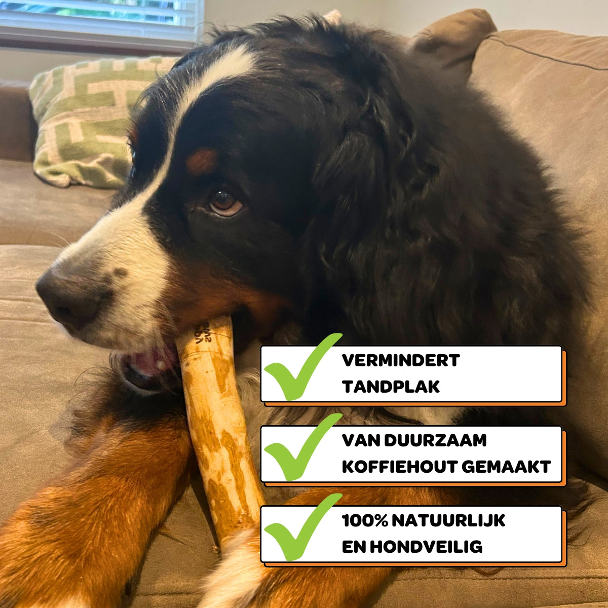 Koffiehouten Kauwstok - Maat L