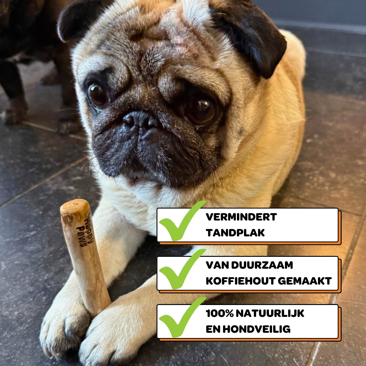 Koffiehouten Kauwstok - Maat XS