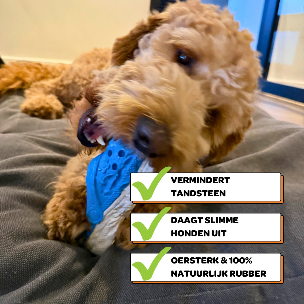 Sammy de Slipper - Maat M/L