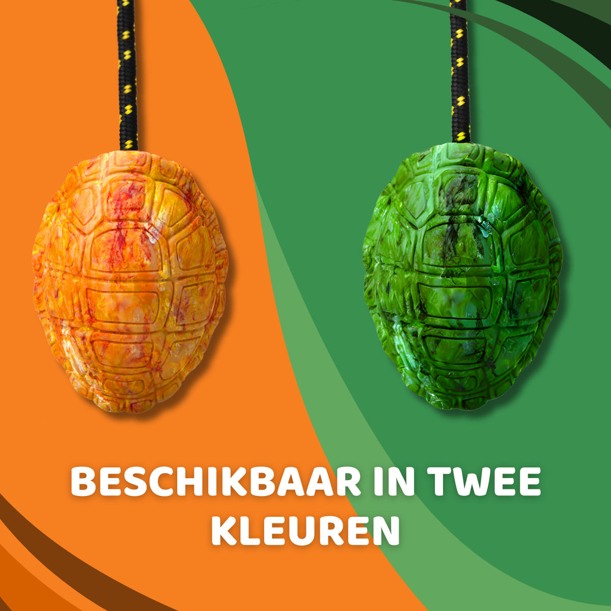 Michelangelo de Schildpad