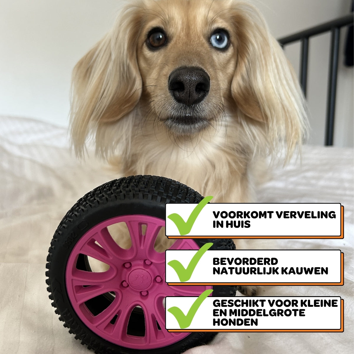 Walter het Wiel - Maat S/M