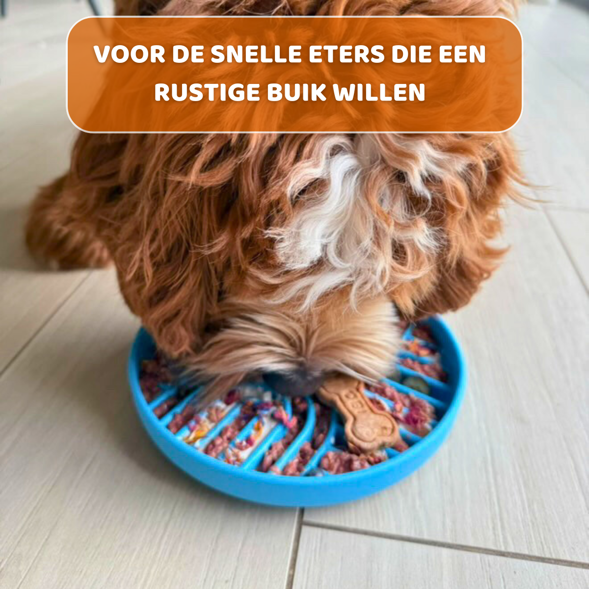 Stevige anti-schrokbak voor honden met dubbel regenboogdesign, blauwe kleur, en slow feeder functionaliteit, Geschikt voor alle honden, Voor de snelle eters die een rustige buik willen, HappyPaws