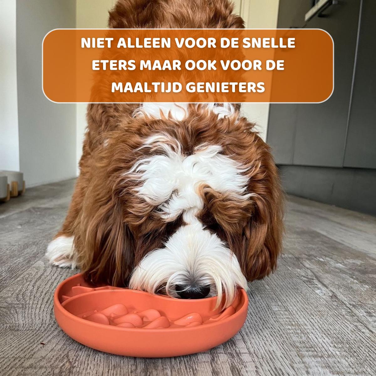 Anti-schrokbak met honinggraatdesign in terracotta kleur, ontworpen voor langzamer eten door honden, Geschikt voor alle honden, Natuurlijk Rubber, Anti-Slip, HappyPaws, Hond die gebruik maakt van de Anti-Schrokbak